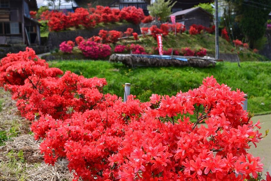 Castle Manai Hotel Anamizu Luaran gambar